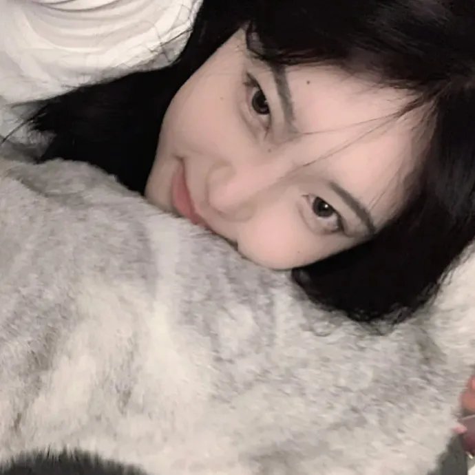 寻宝搭档第三季